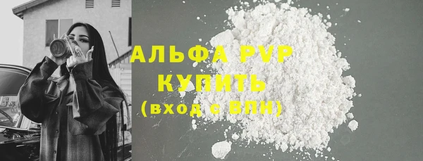 стаф Белокуриха