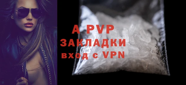 стаф Белокуриха