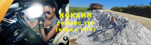 стаф Белокуриха